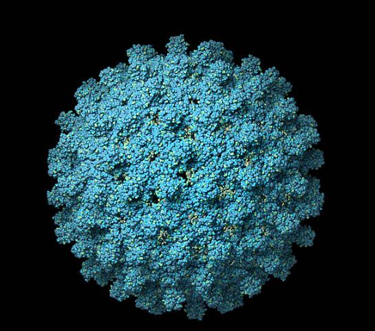the-5-deadly-viruses-you-need-to-know-about-in-2023